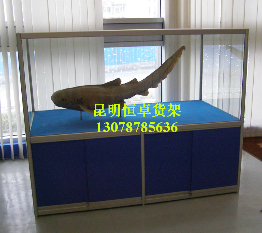 鈦合金展柜5